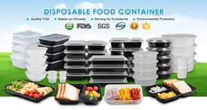 disposable food containers.jpg